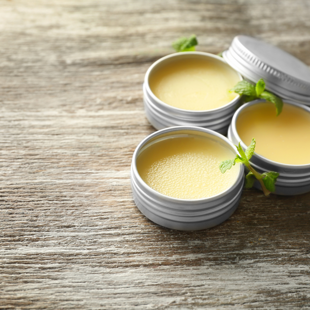 Tallow Lip Balm Tins