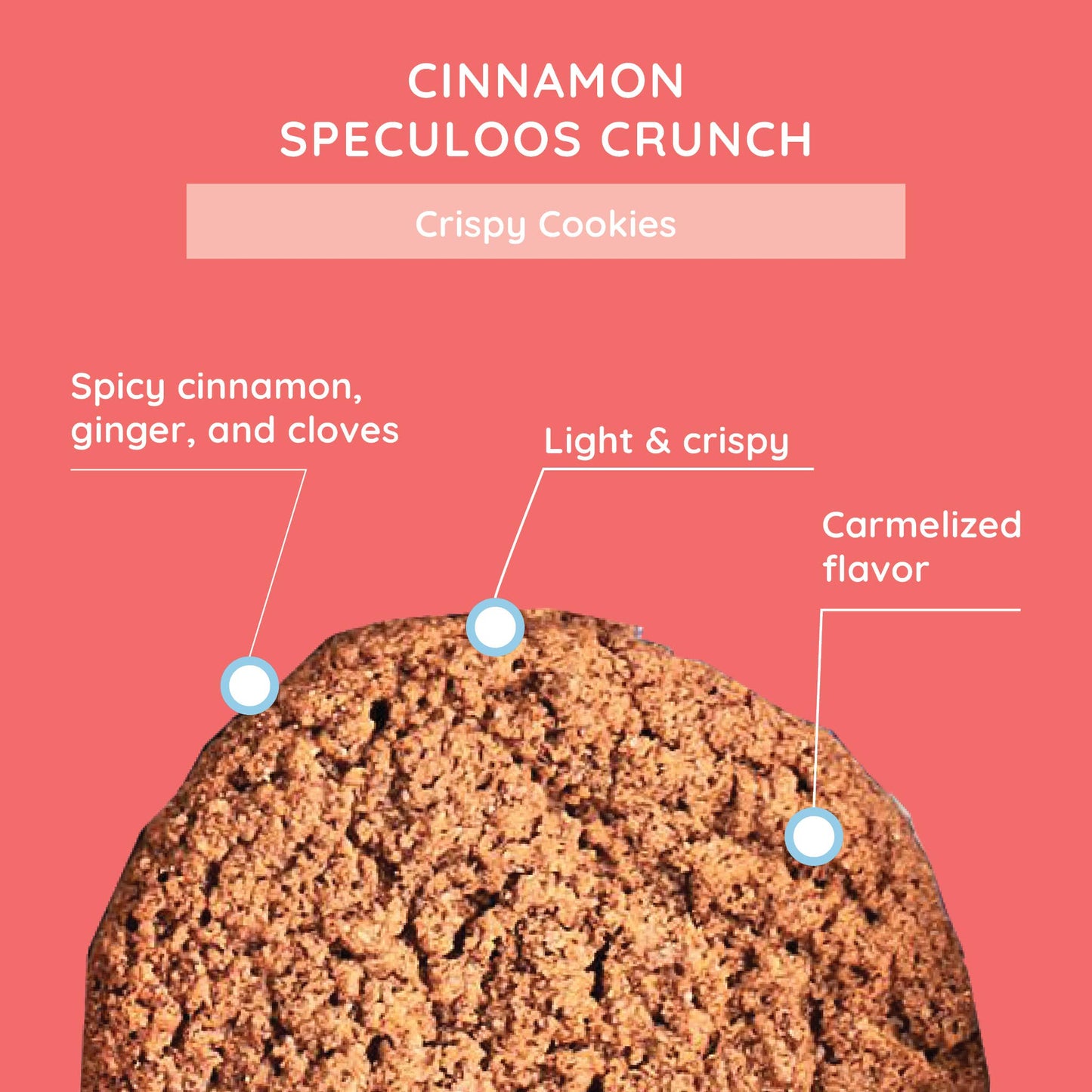 Crispy Cinnamon Crunch Cookies - 6.3 oz box