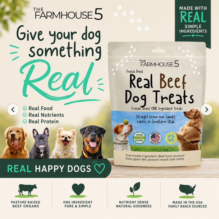 Dog Food/Treats
