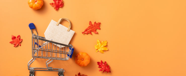 Fall/seasonal Items