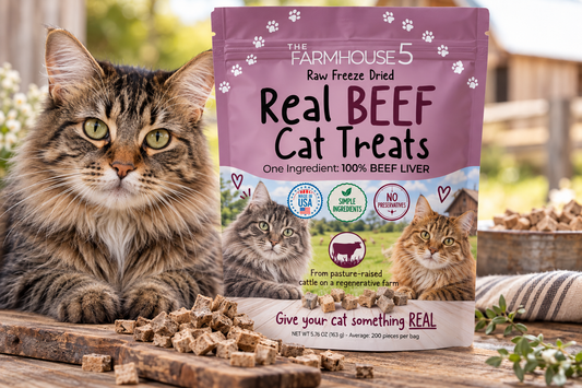 REAL- Cat Treats