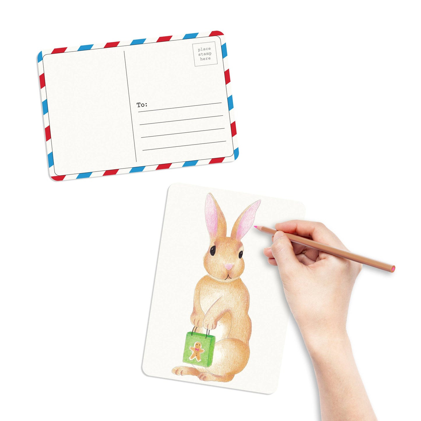 Coloring Postcards w/ 6 Winter Animal Designs (30cards)