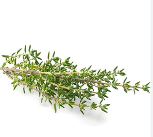 Fresh Thyme - herb