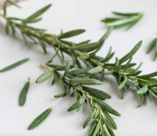 Fresh Rosemary - herb