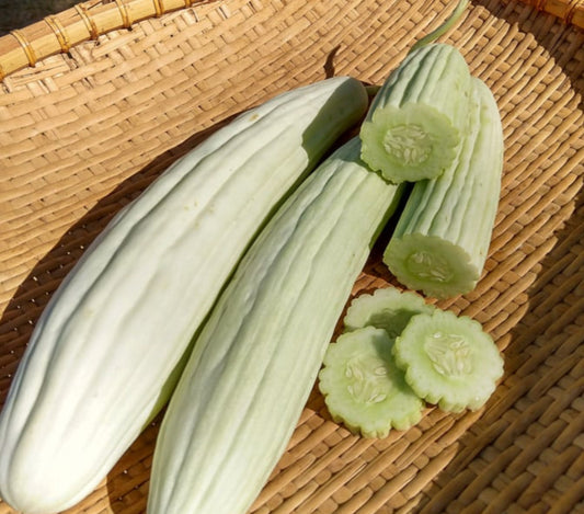 Organic Armenian cucumbers