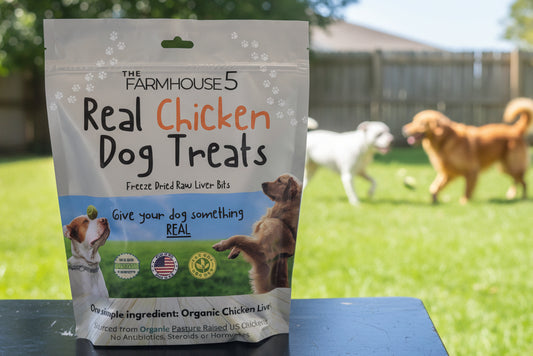 REAL CHICKEN Dog Treats - Liver Bits