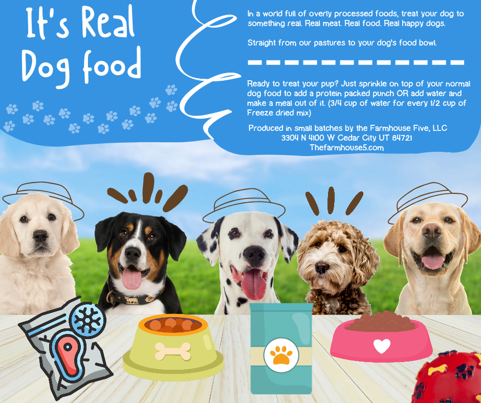 Freeze Dried Real BEEF Dog Food