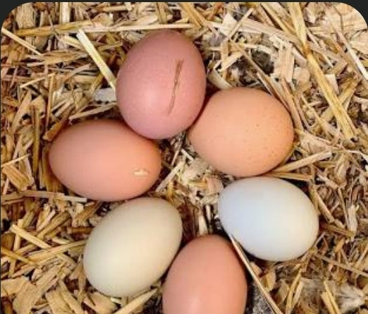 Dozen Eggs