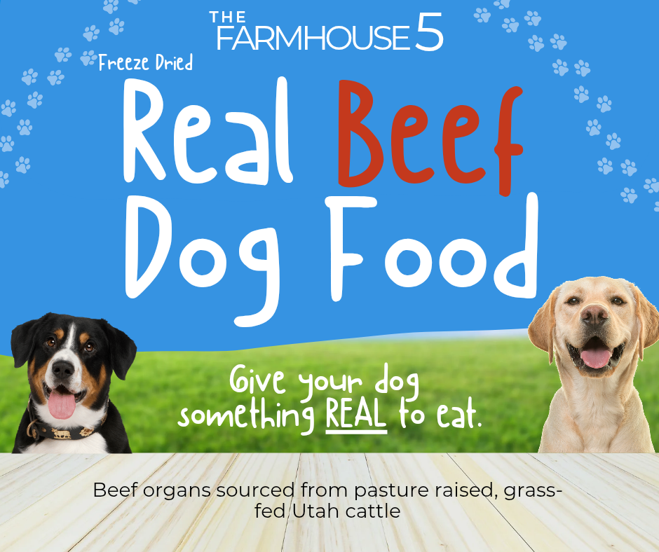 Freeze Dried Real BEEF Dog Food
